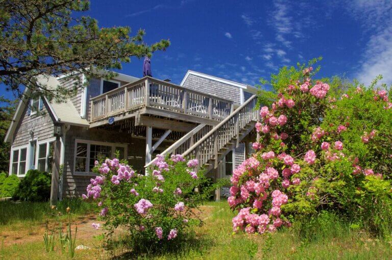 Wellfleet (Cape Cod), MA Unwinder